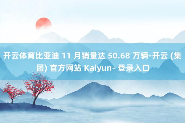 开云体育比亚迪 11 月销量达 50.68 万辆-开云 (集团) 官方网站 Kaiyun- 登录入口