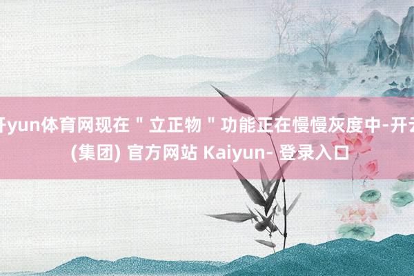 开yun体育网现在＂立正物＂功能正在慢慢灰度中-开云 (集团) 官方网站 Kaiyun- 登录入口