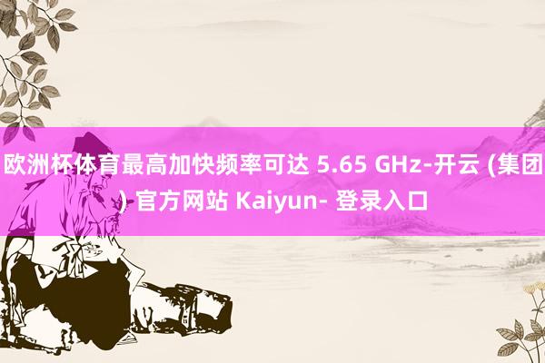 欧洲杯体育最高加快频率可达 5.65 GHz-开云 (集团) 官方网站 Kaiyun- 登录入口
