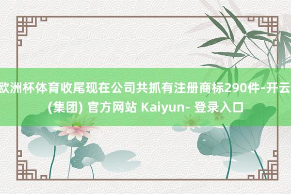 欧洲杯体育收尾现在公司共抓有注册商标290件-开云 (集团) 官方网站 Kaiyun- 登录入口