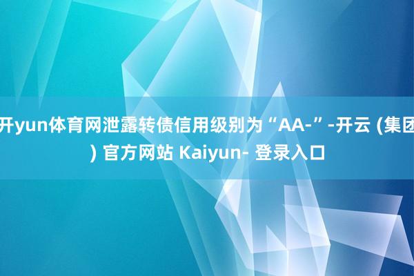 开yun体育网泄露转债信用级别为“AA-”-开云 (集团) 官方网站 Kaiyun- 登录入口