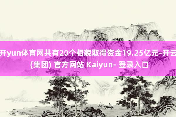 开yun体育网共有20个相貌取得资金19.25亿元-开云 (集团) 官方网站 Kaiyun- 登录入口
