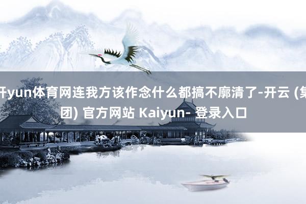 开yun体育网连我方该作念什么都搞不廓清了-开云 (集团) 官方网站 Kaiyun- 登录入口